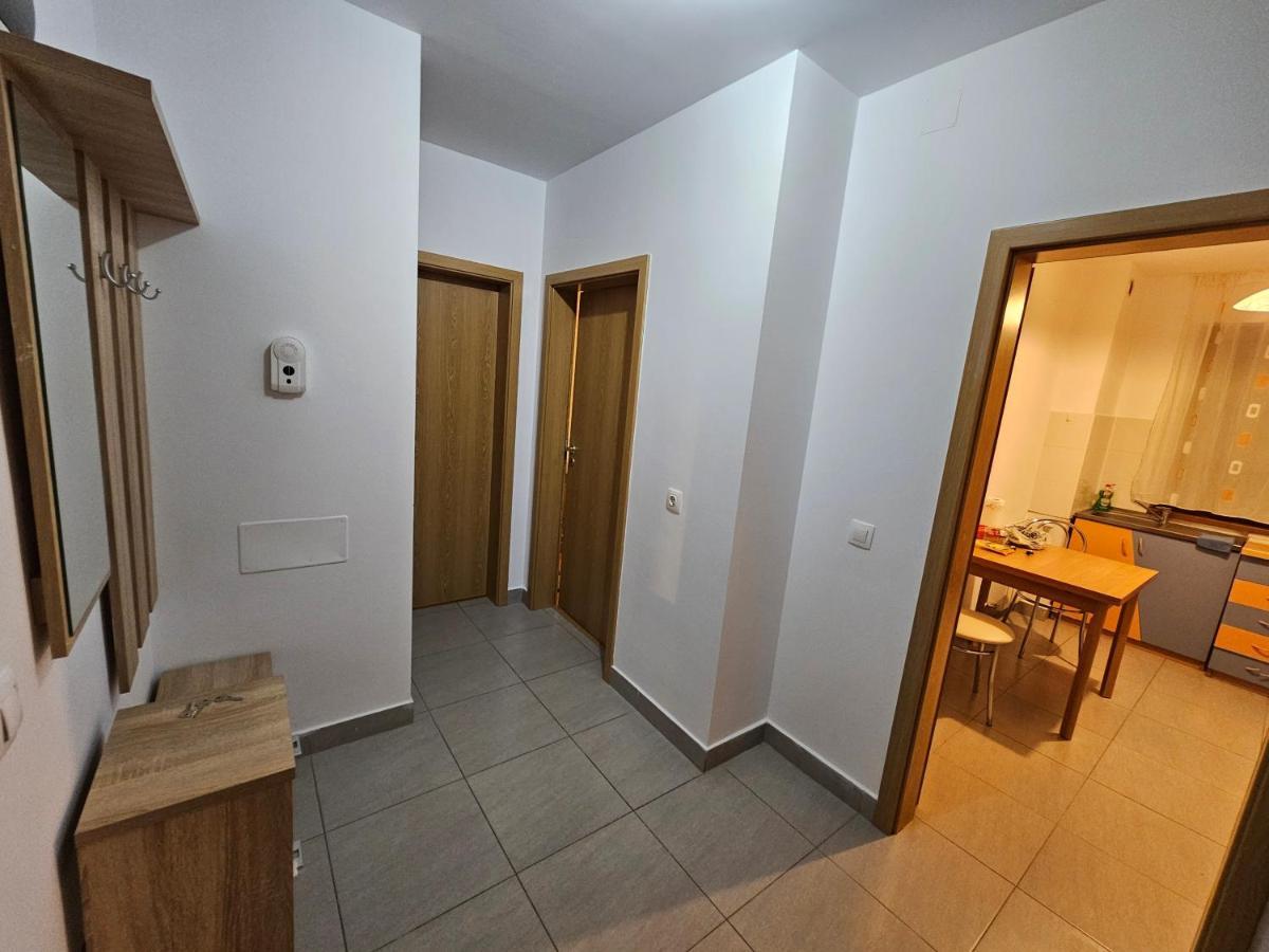 Elena'S Studio Brasov Coresi Exterior photo