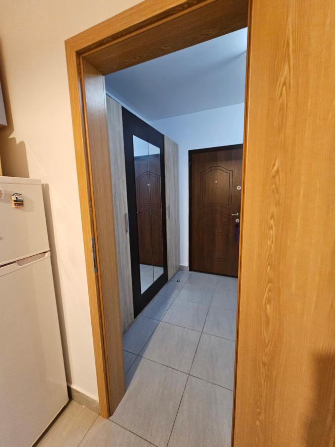Elena'S Studio Brasov Coresi Exterior photo