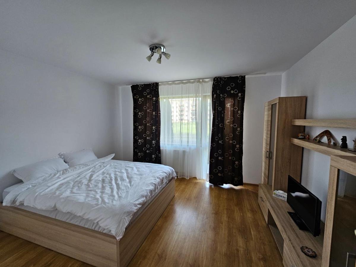 Elena'S Studio Brasov Coresi Exterior photo